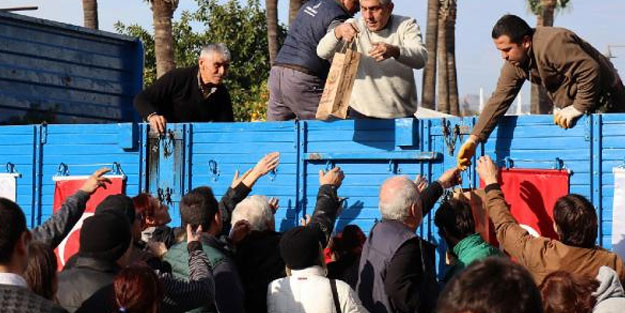 Bodrum'da 1 saatte 7 bin fidan dağıtıldı