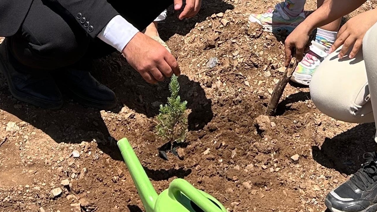 Bodrum’da anlamlı günde anlamlı etkinlik