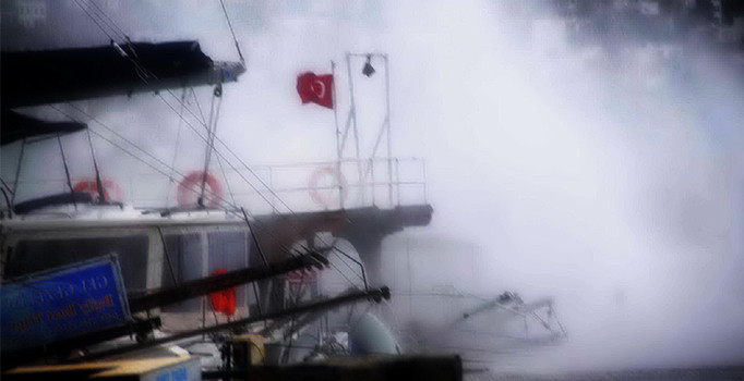 Bodrum'da fırtına ağaçları devirdi