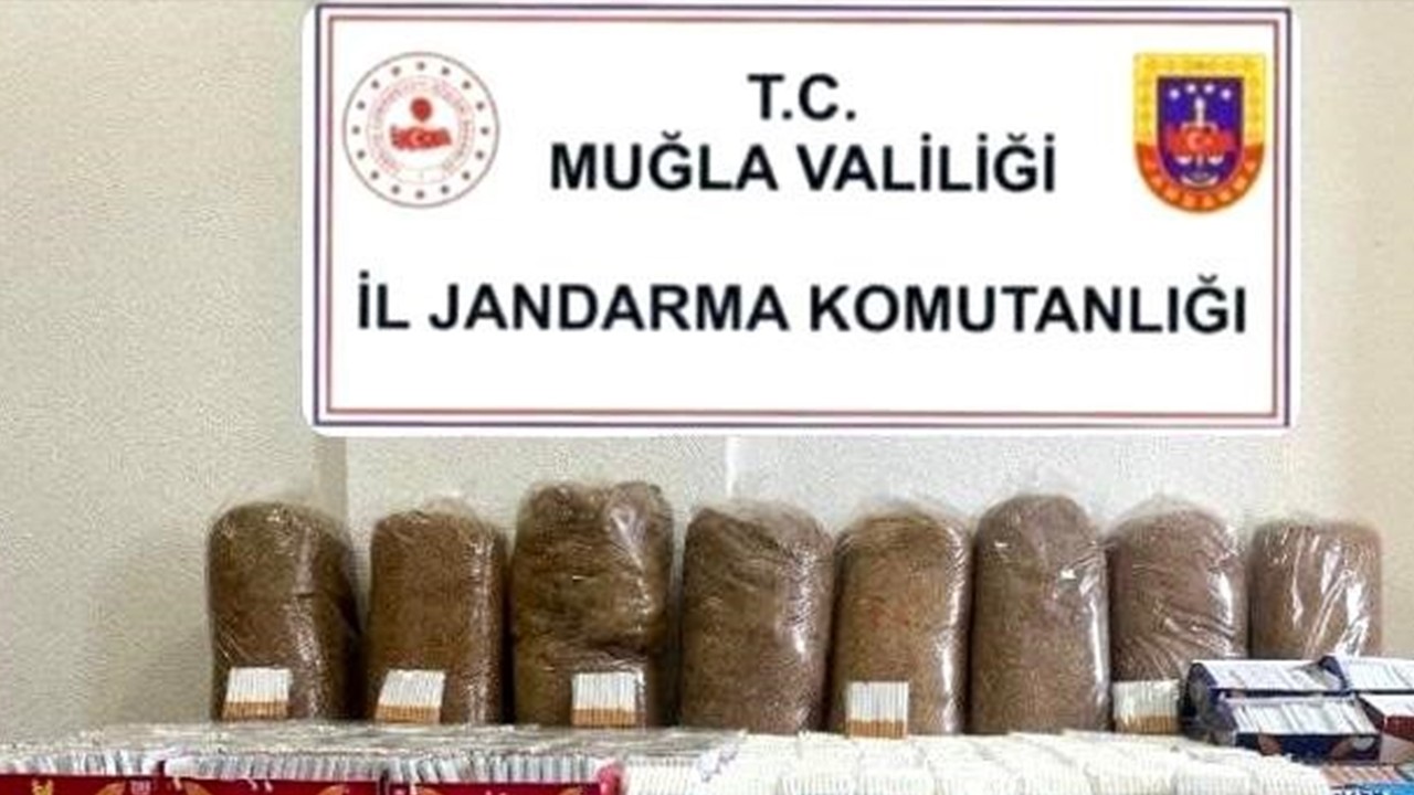 Bodrum’da kaçak tütün operasyonu