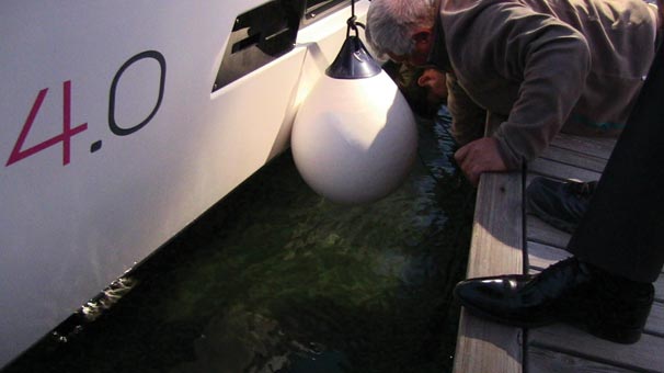 Bodrum’da kedi, köpekten kurtulmak için denize atladı