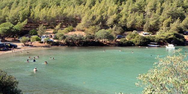 Bodrum'da kirlilik alarmı! Eğer tedbir alınmazsa...
