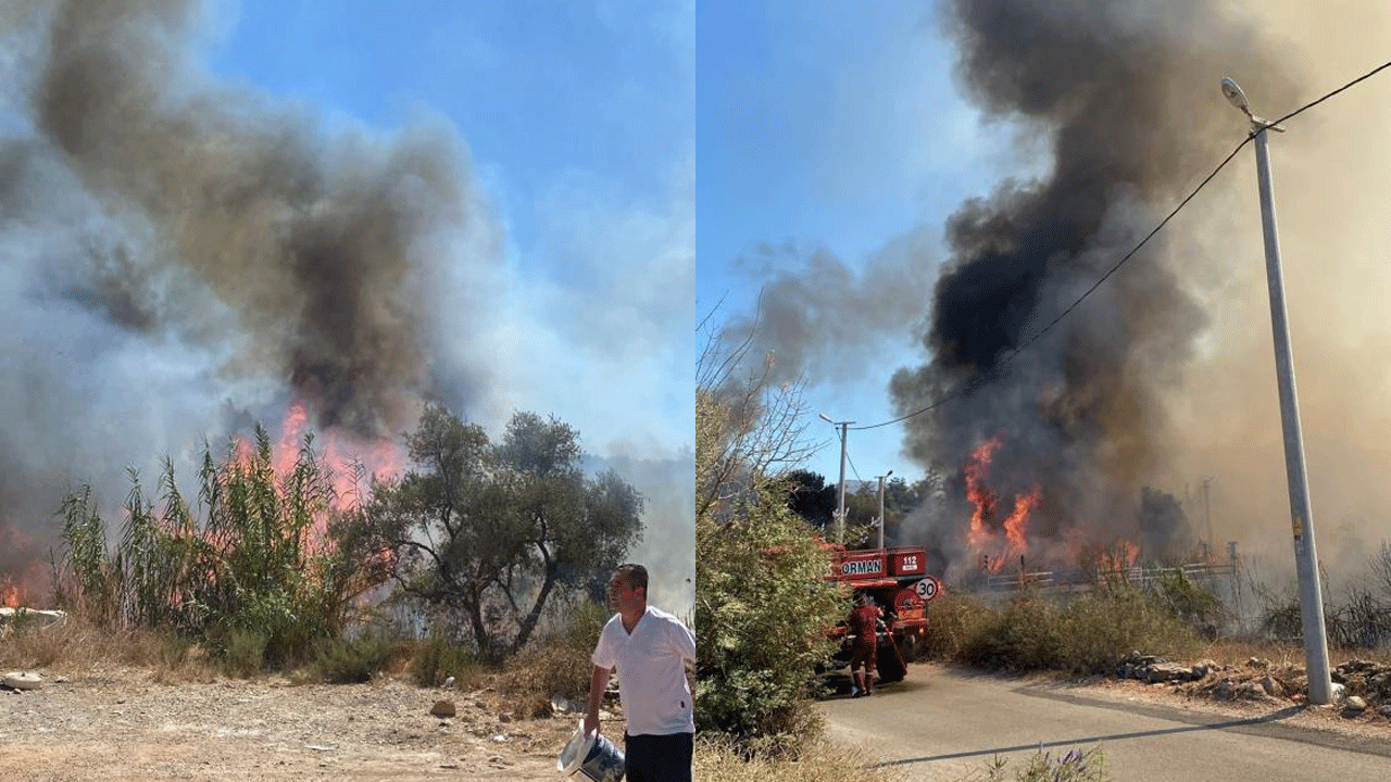 Bodrum'da korkutan yangın
