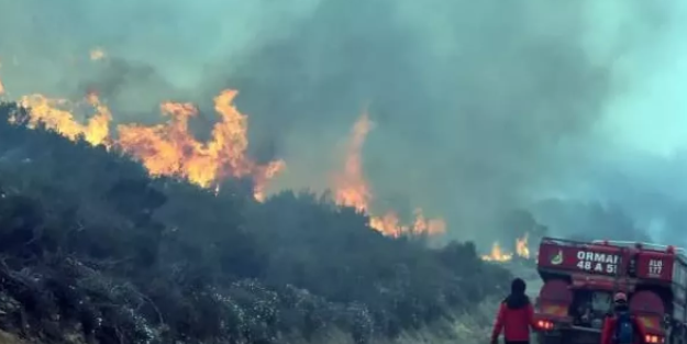 Bodrum'da korkutan yangın! Sabotaj şüphesi