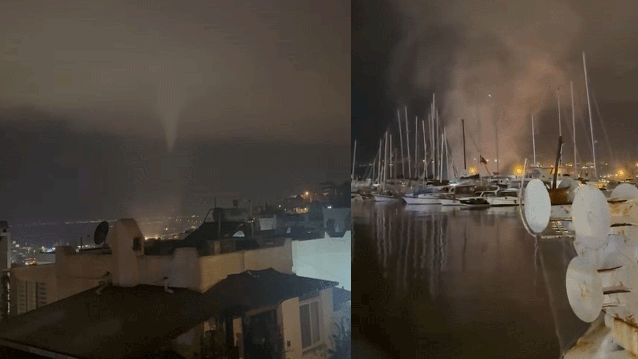 Bodrum’da ortaya çıktı! Endişelendiren olay