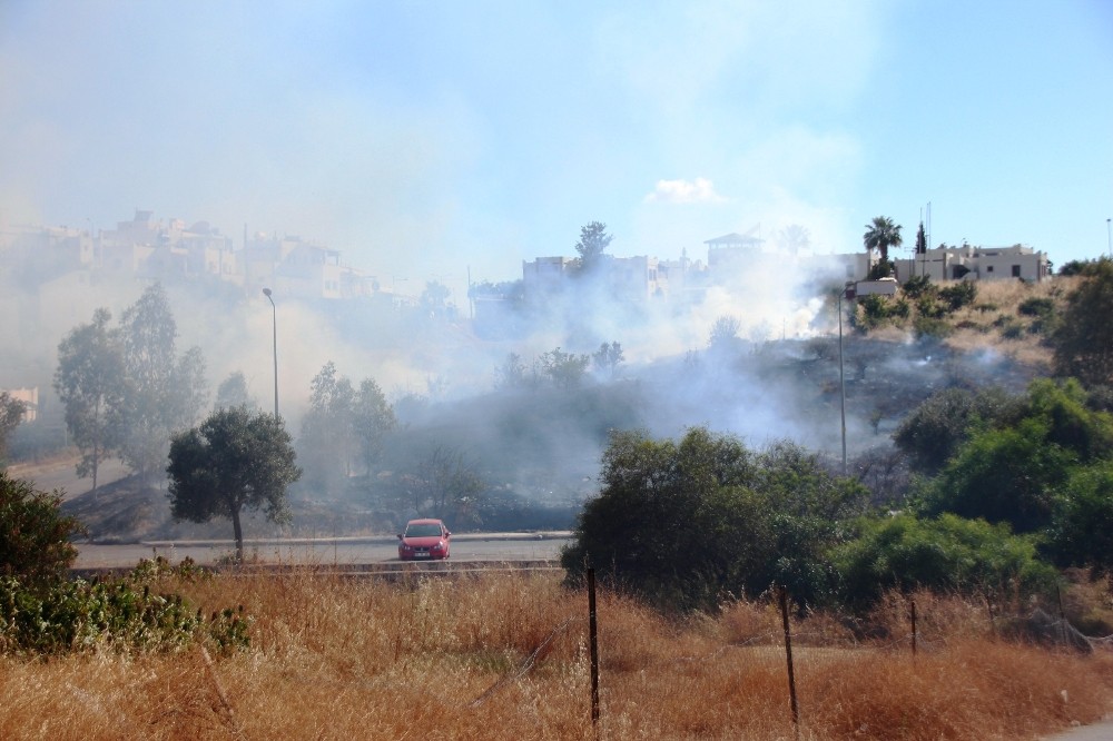 Bodrum’da otluk alanda çıkan yangın korkuttu 