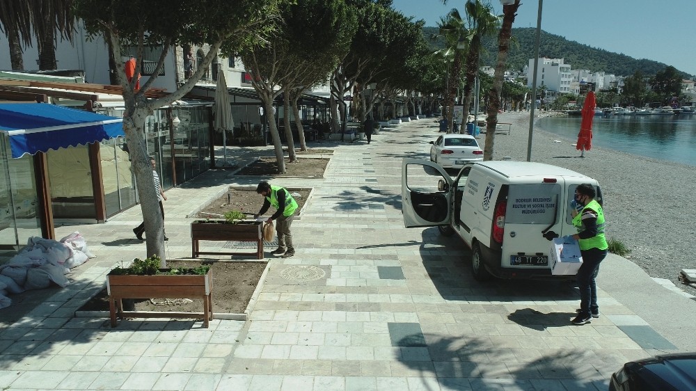 Bodrum’da seferberlik ilan edildi 