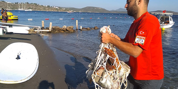 Bodrum'da turistleri şoke eden olay!