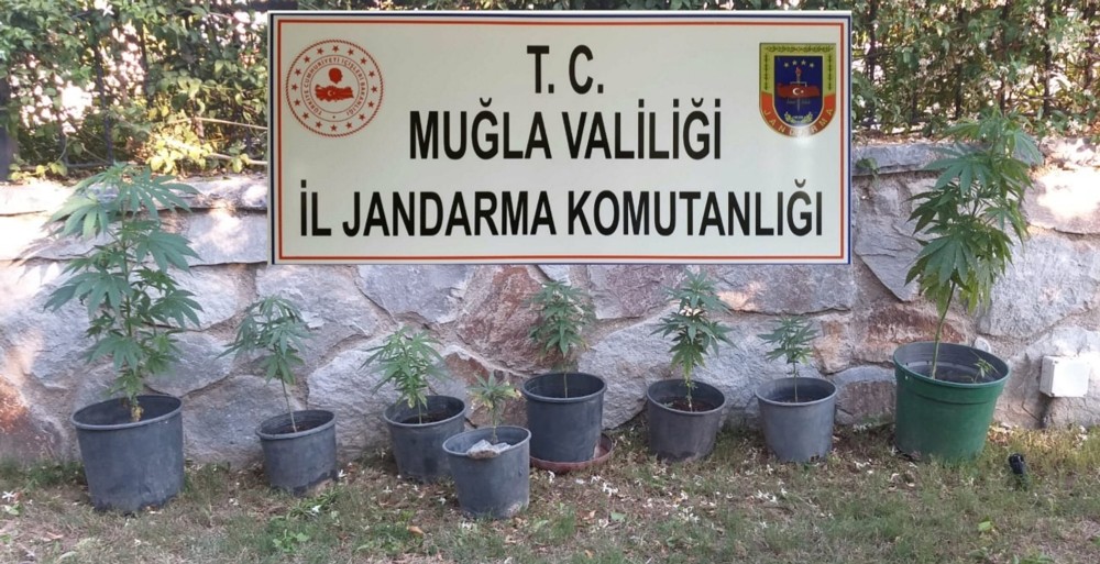 Bodrum’da ünlülerin mahallesine uyuşturucu operasyonu 