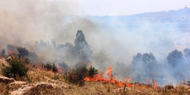 Bodrum'da yangın
