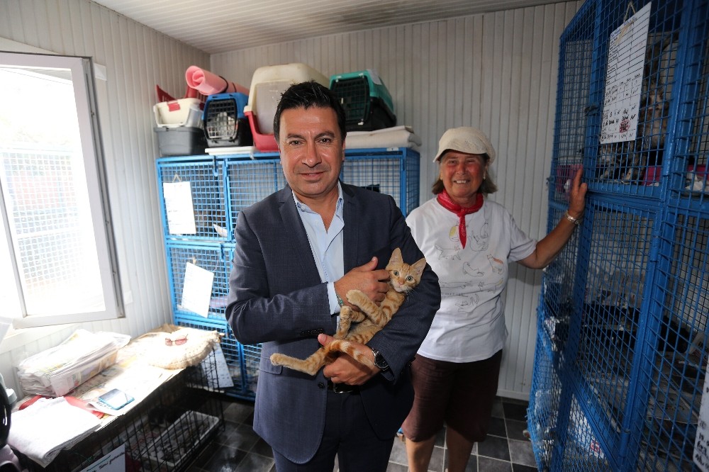 Bodrum’daki 20 klinik 3 ay ücretsiz hizmet verecek 