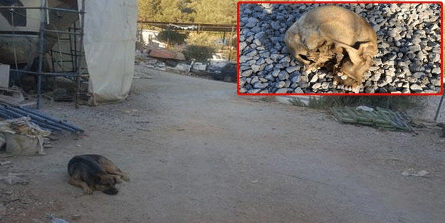 Bodrum'daki vahşette yeni gelişme: 4 kişi gözaltında