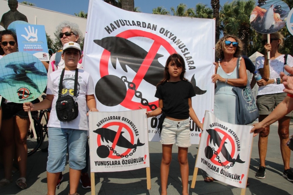 Bodrum’daki yunus gösteri merkezinin ruhsatı iptal edildi 