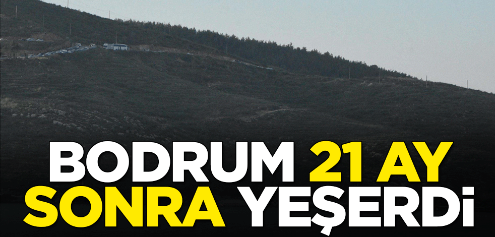 Bodrum 21 ay sonra yeşerdi