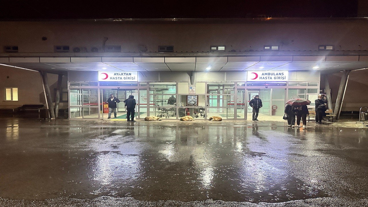 Boğa dehşeti: Yaşlı kadın hayatını kaybetti