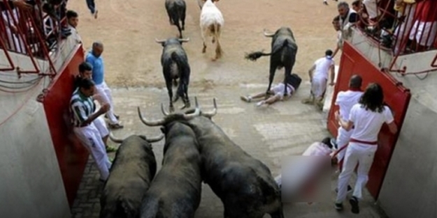 Boğa ile selfie çekeyim derken öldü