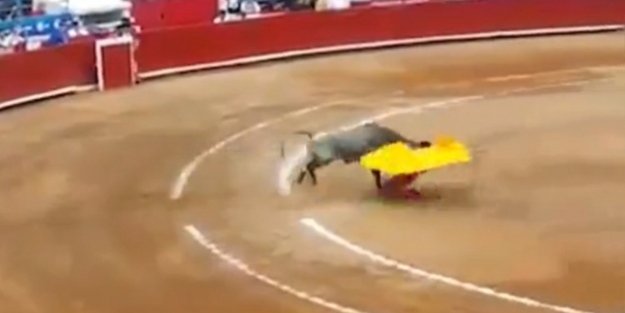 Boğa matadorlara arenayı dar etti - VİDEO