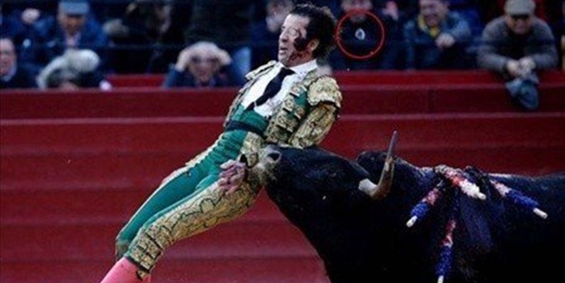 Boğa matadorun gözünü çıkardı!