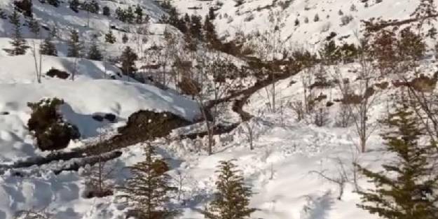 Boğarak öldürdüğü eşini boş araziye gömdü