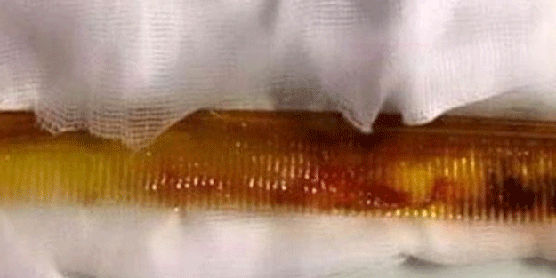 Böylesi ne görüldü ne duyuldu!