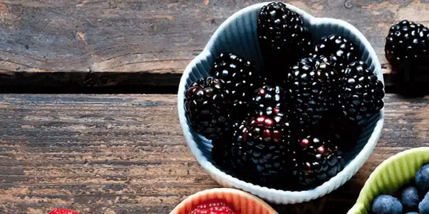 Böğürtlen damar tıkanıklığına iyi gelir: Faydaları saymakla bitmiyor!