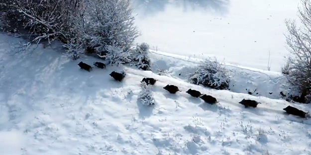 Bölge halkı dert yanıyordu! Erzincan'da görüntülendiler