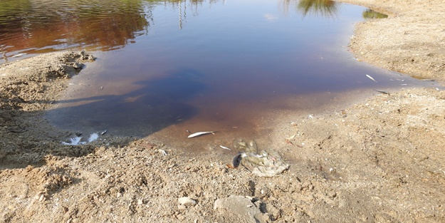 Bölge halkını isyan ettiren ihmal! Böyle olur CHP'li belediyenin denetlemesi