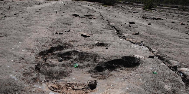 Bolivya'da bulundu! Milyonlarca yıl öncesine ait