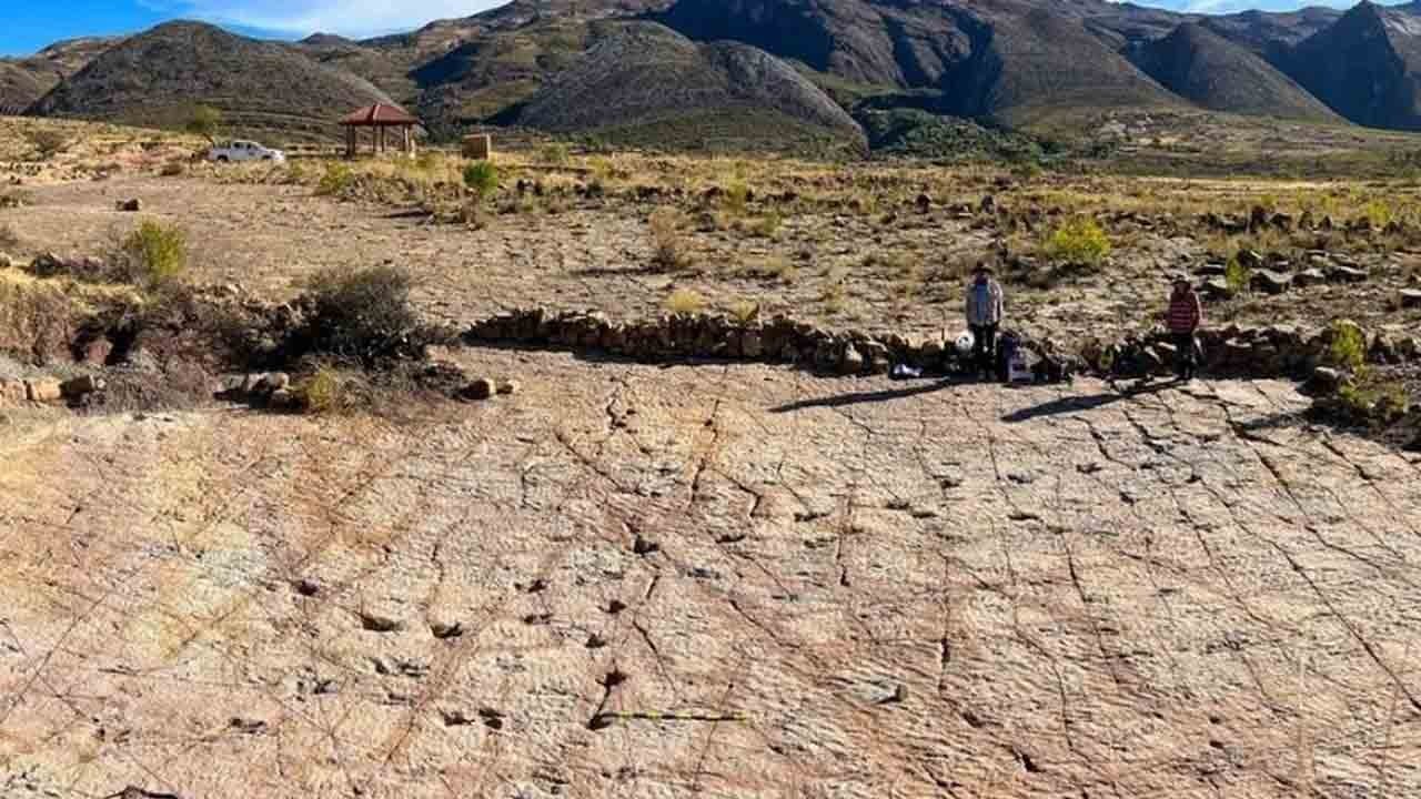 Bolivya’da dinozor rekoru: Tek alanda 18 bine yakın ayak izi