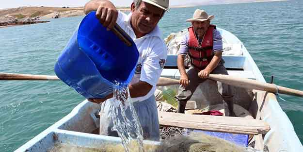 Bolluk yaşanıyor! Fiyatı 5 liraya kadar düştü