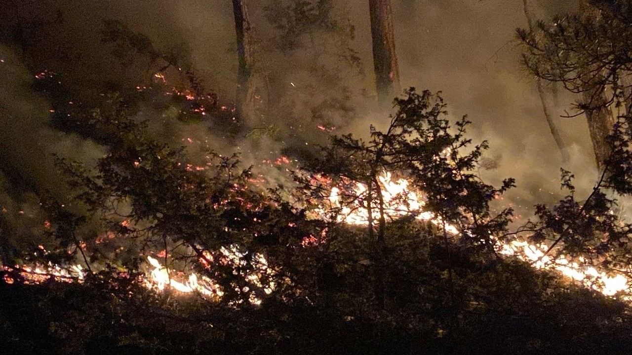 Bolu Göynük’teki Orman Yangını 8 Saatte Kontrol Altına Alındı