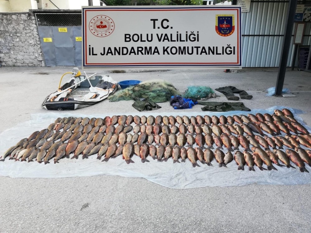 Bolu’da, 2 hafta önce geldiği gölette yine kaçak balık avlarken yakalanan şahsa para cezası 