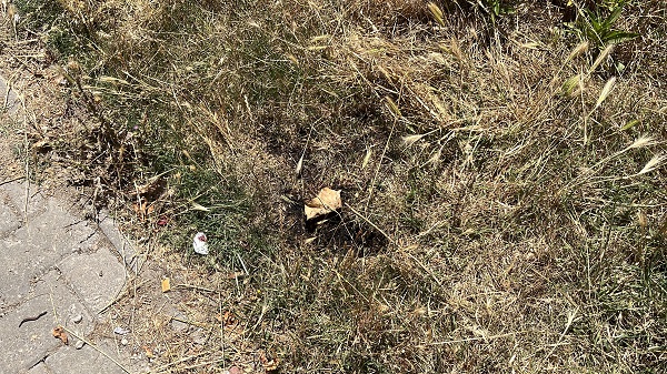 Bolu'da az daha facia yaşanacaktı!