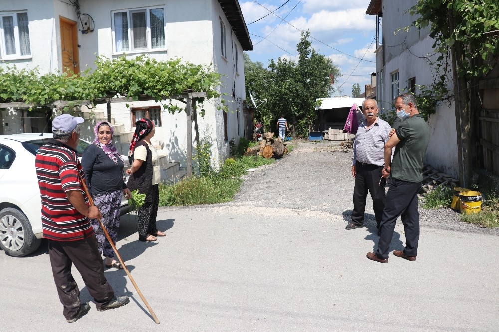 Bolu’da, girdikleri odunlukta doğum yapan tilkiler tavuk ve kedileri öldürdü 