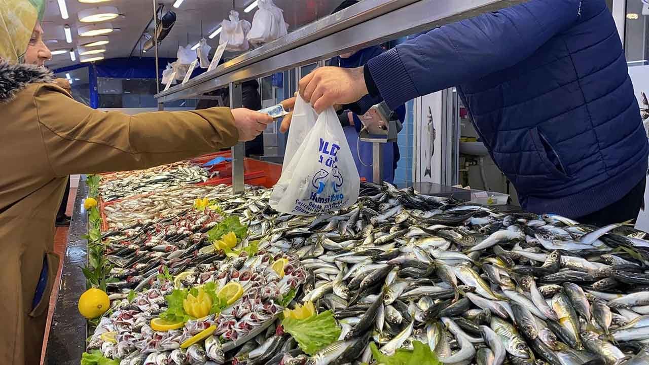 Bolu'da hamsi kıtlığı! Vatandaş istavrit ve mezgite mahkum kaldı