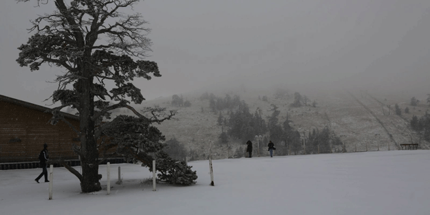 Bolu'da kar kalınığı 20 santimetreyi buldu
