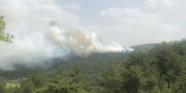 Bolu'da korkutan yangın kontrol altına alındı!