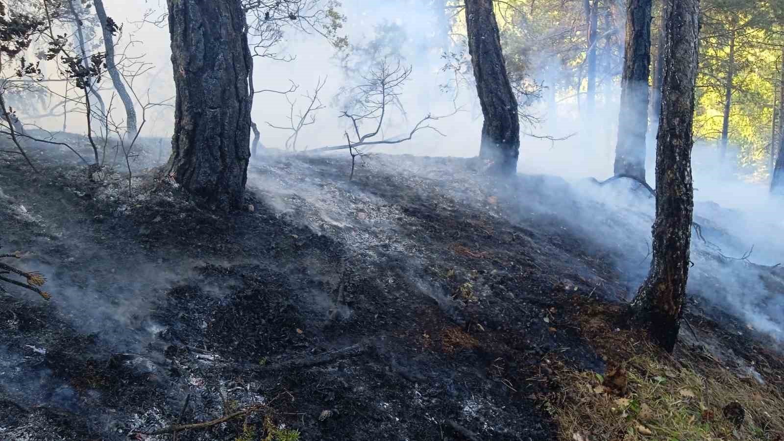 Bolu’da orman alarmı! Örtü yangınında 1 hektar kül oldu