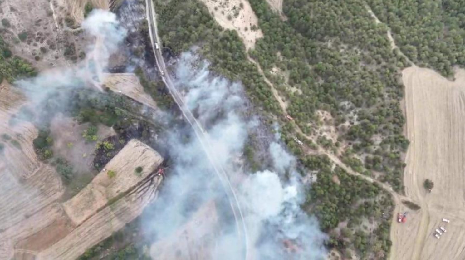 Bolu'da orman yangını