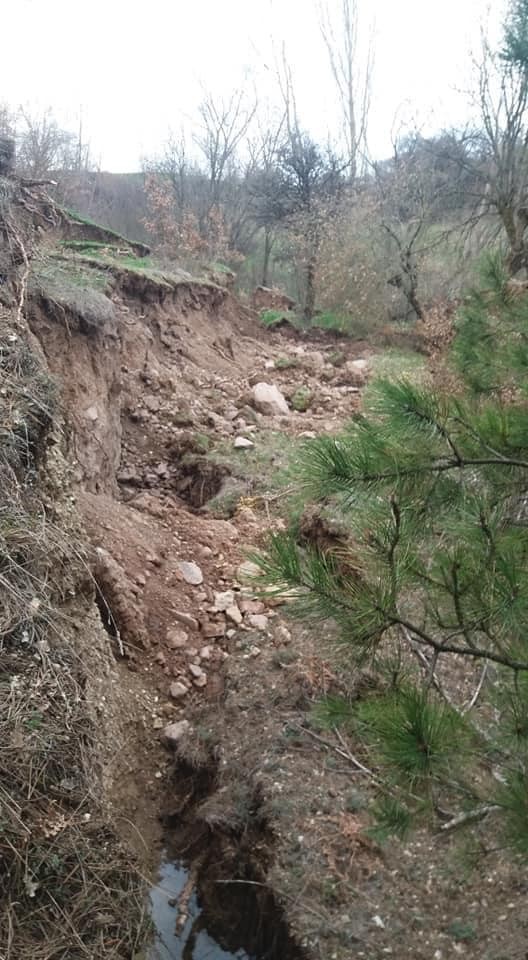 Bolu’da, ormanlık alanda heyelan meydana geldi 