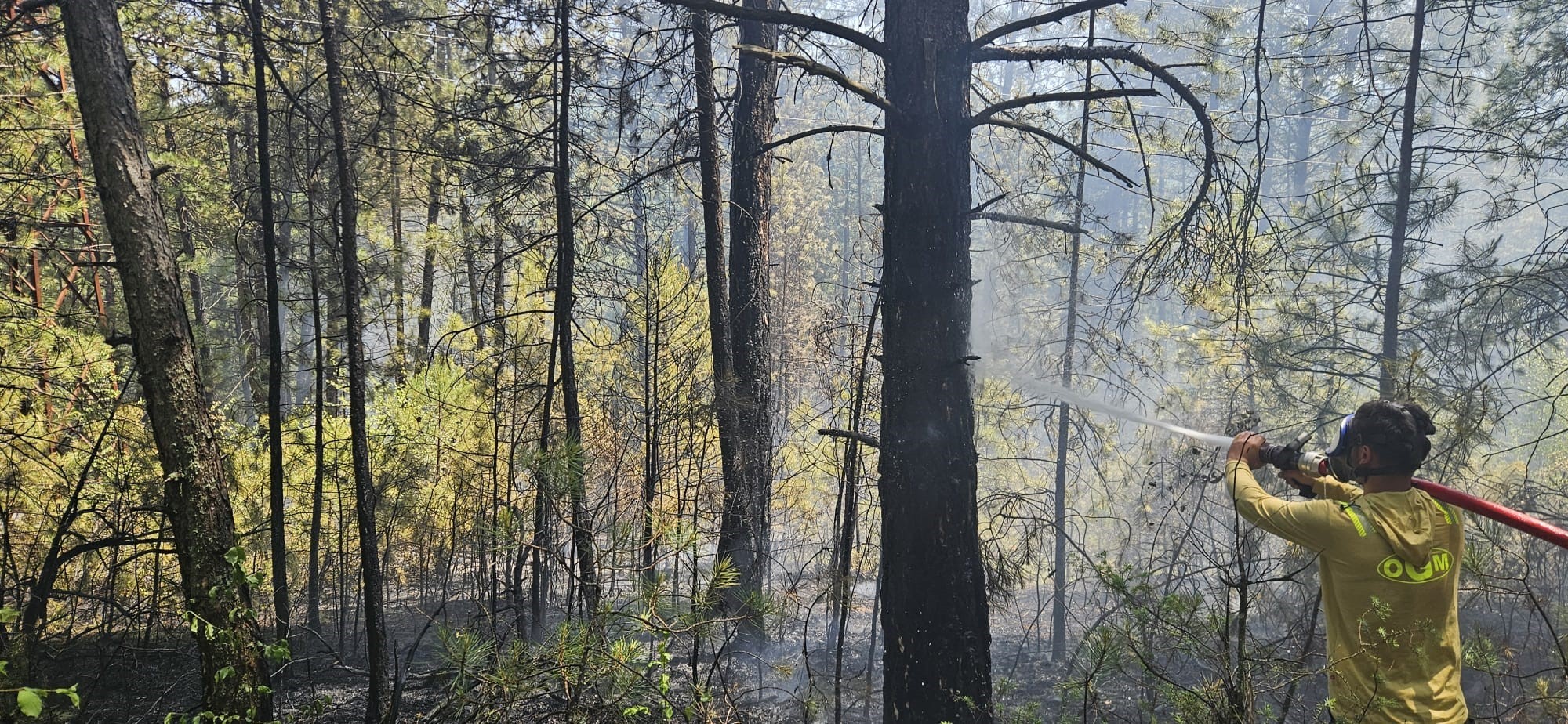Bolu’da ormanlık alanda örtü yangını faciaya dönüşmeden söndürüldü