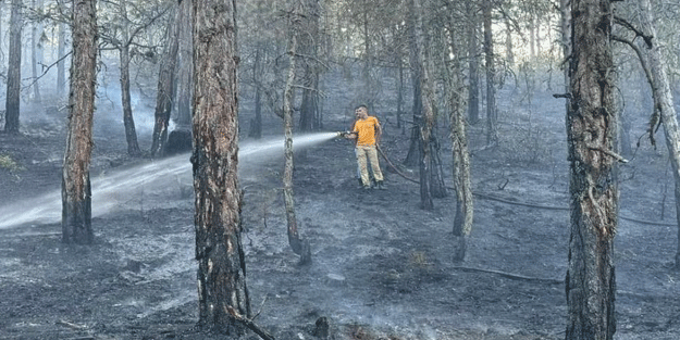 Bolu’da örtü yangınında 2 dönümlük alan kül oldu