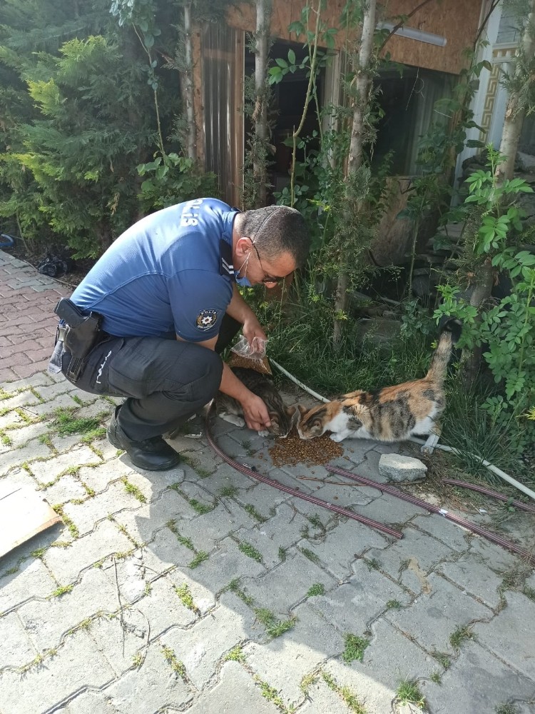 Bolu’da, polis ekipleri sokak hayvanlarını unutmadı 