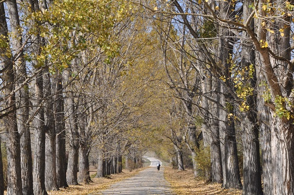 Bolu’da sonbahar renkleri