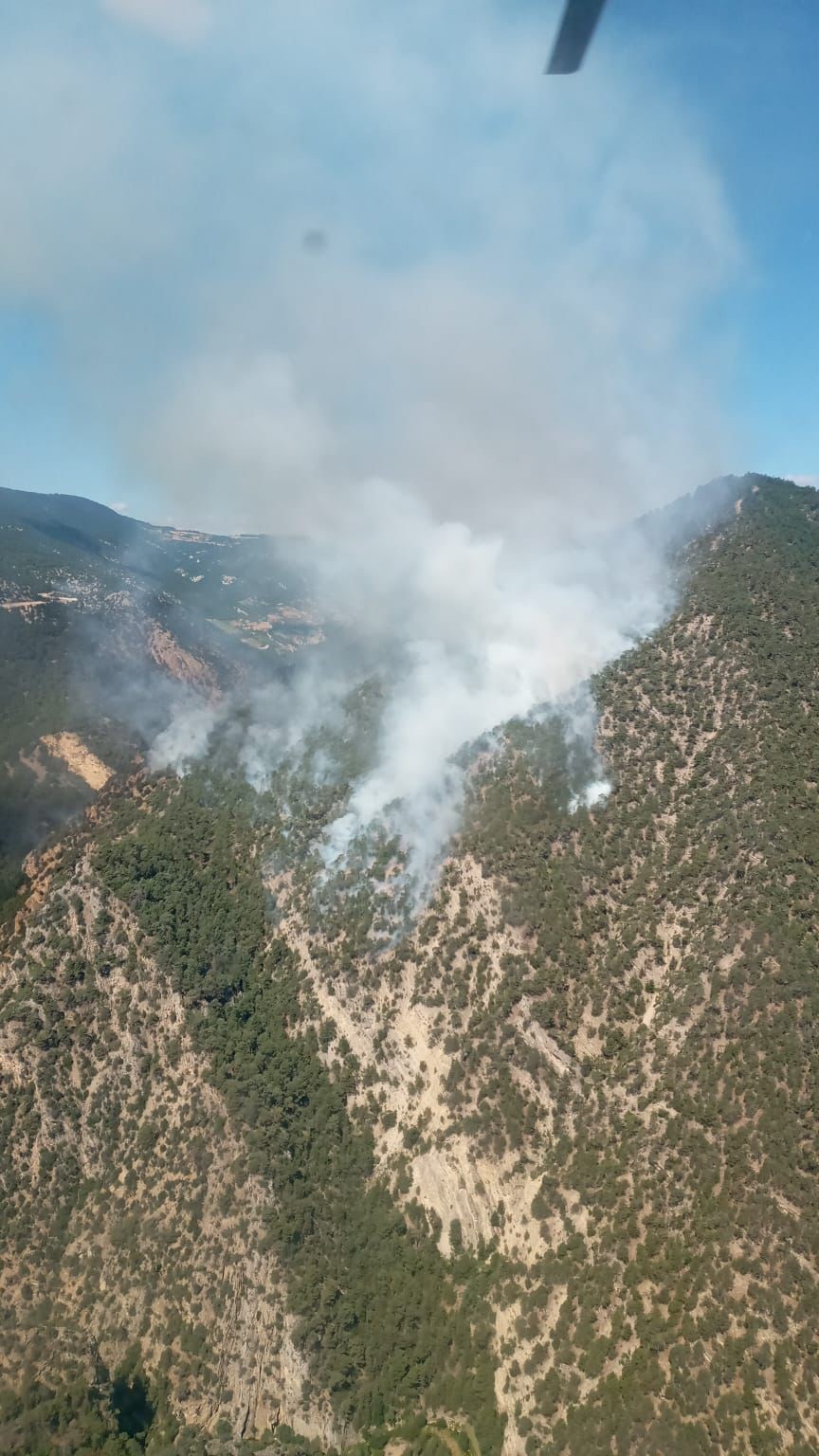 Bolu'da söndürülemeyen orman yangınına Ankara ve Balıkesir'den helikopter desteği