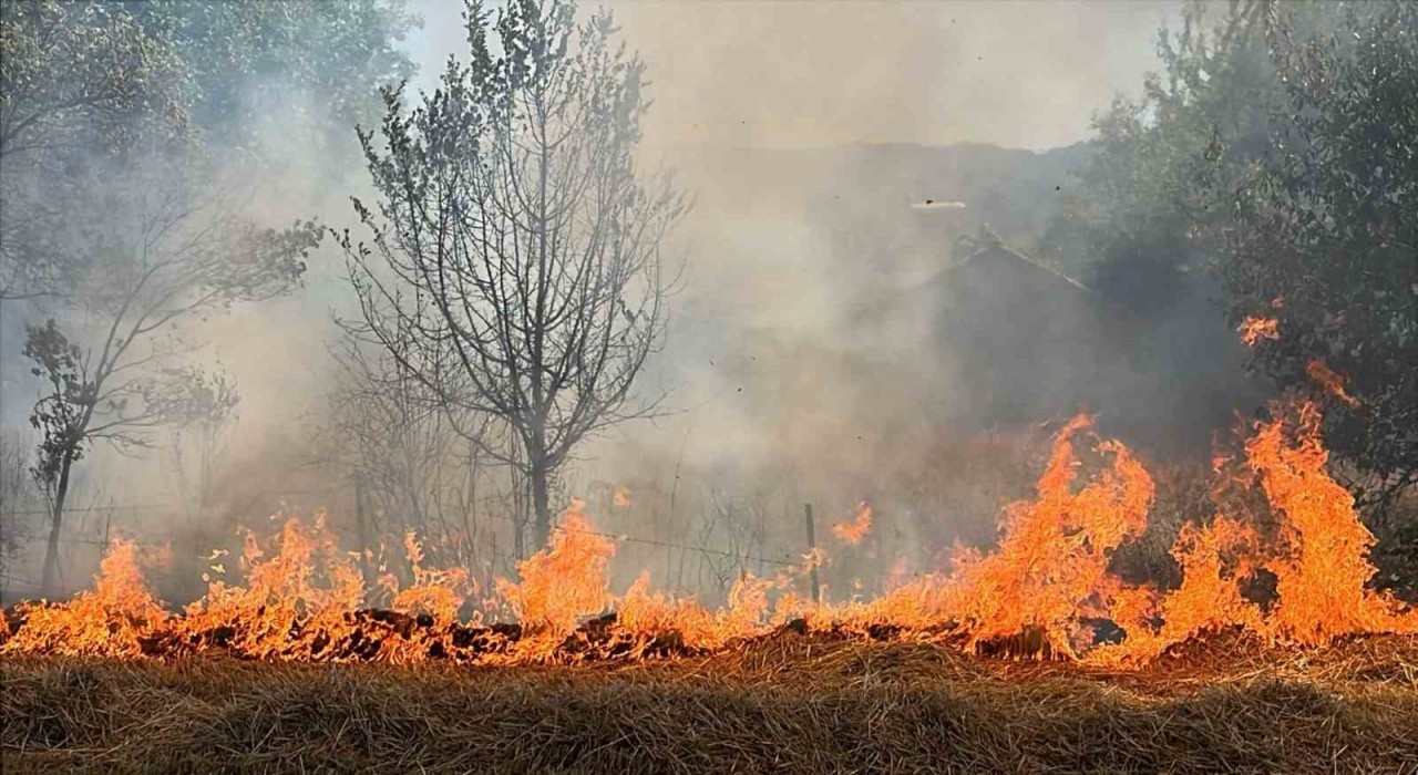Bolu’da yangın dehşeti: Orman yangını evlere sıçradı