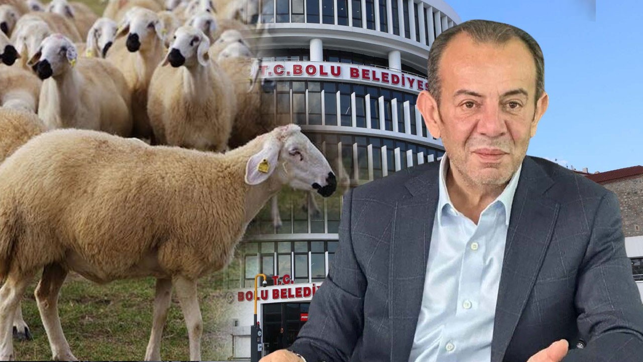 Bolu'daki kurban vurgununda şüphelilerin ifadeleri ortaya çıktı! Tanju "hatırlamıyorum" dedi