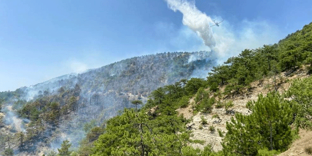 Bolu’daki orman yangına müdahale sürüyor