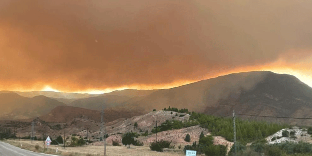 Bolu'daki orman yangını Eskişehir il sınırına yaklaştı