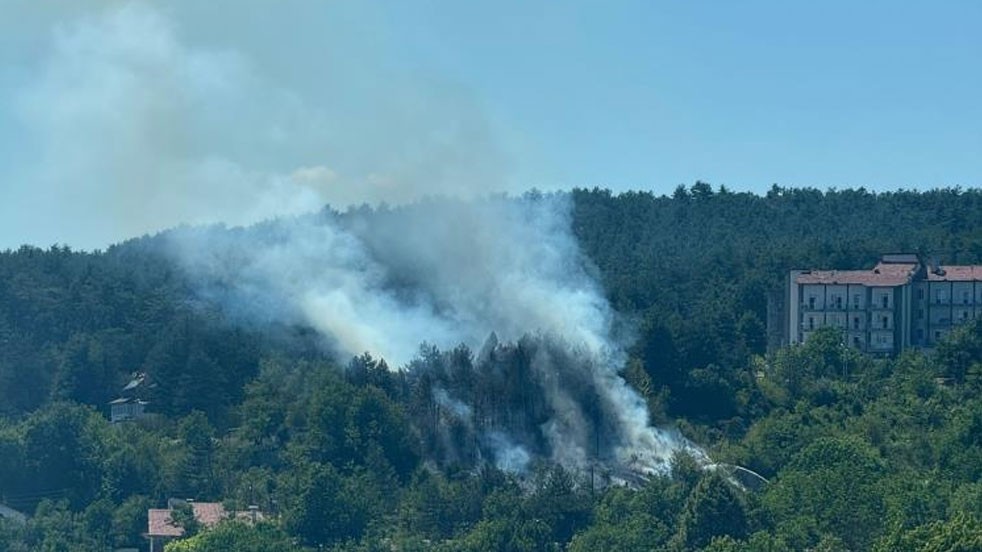 Bolu'daki yangın büyümeden söndürüldü